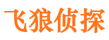 雁山侦探公司